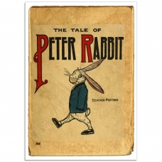 Book Illustration Poster - Peter Rabbit Book Cover